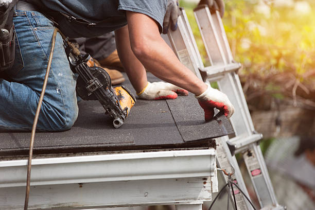 Best Roof Gutter Cleaning  in Youngsville, NC